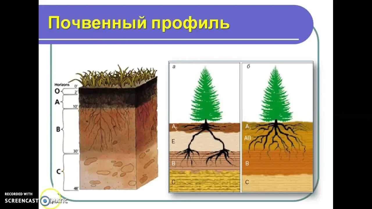 Тема занятия почва. Почва рисунок. почвы презентация 6 класс. презентация почва типы почв.