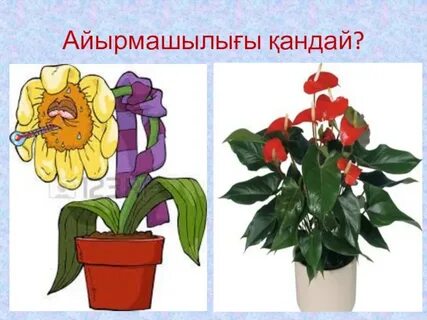 Орыс аналары жыныстық қатынасқа түседі