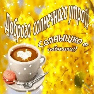 Солнечного доброго утра и хорошего дня картинки