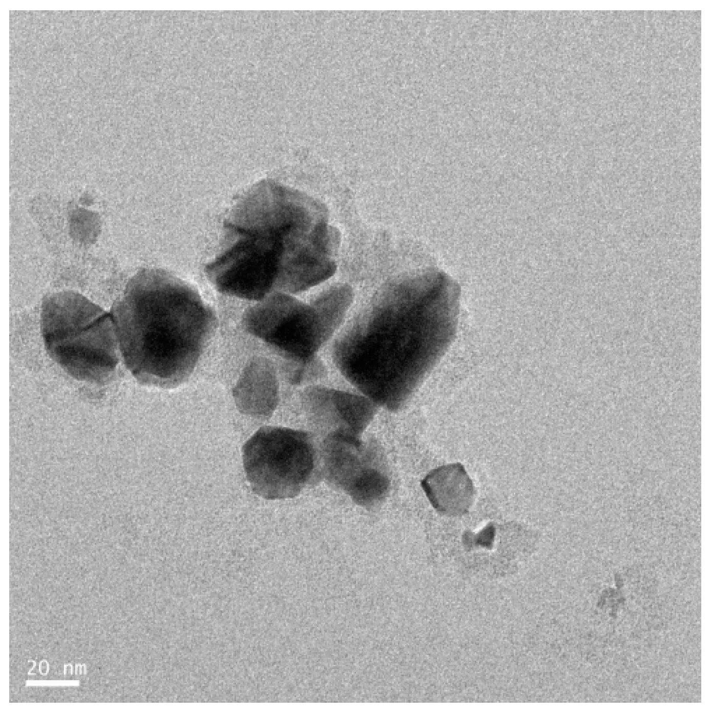 Peptostreptococcus spp