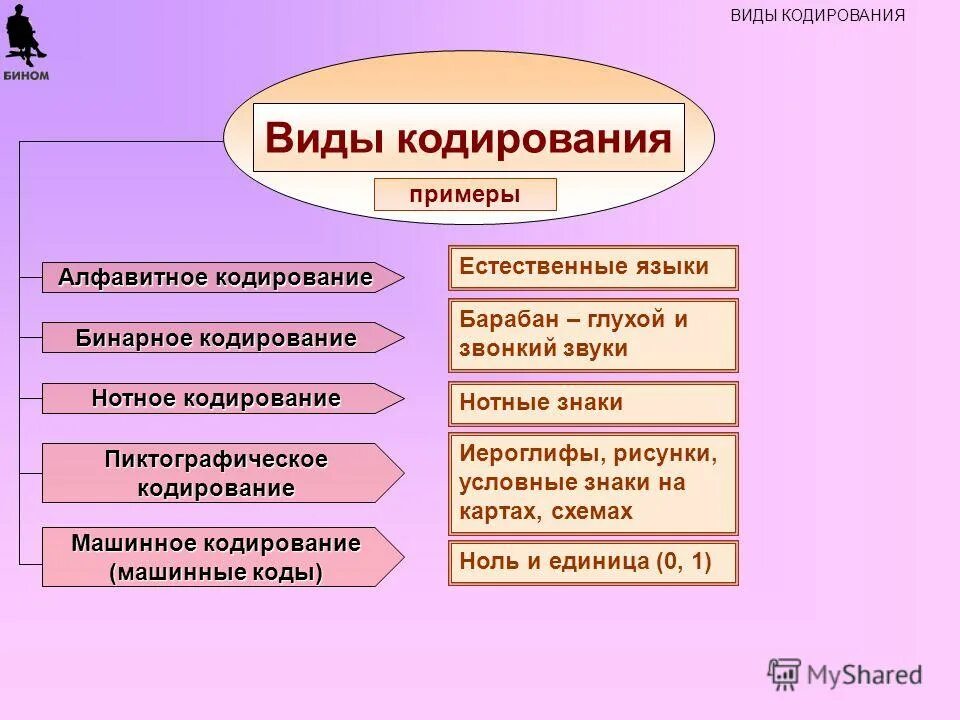 Виды кодирования. Виды кодировки информации. Типы кодировок. Перечислите виды кодирования. Кодирование данных виды кодирования