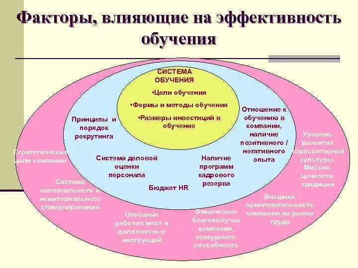 Факторы эффективной организации. Факторы влияющие на эффективность обучения. Схема факторы эффективного обучения. Сколько существует факторов эффективного обучения. Факторов, влияющих на эффективность процесса обучения.