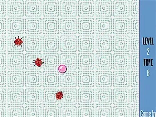 The bugs are coming