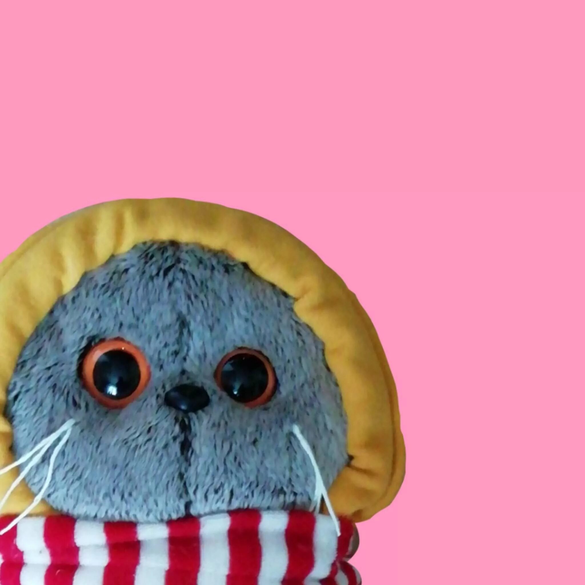 Басик тв 2. Басик кот супермен. Басик "ks22-001". Кот басик 2022. Зайка ми и кот басик интернет.