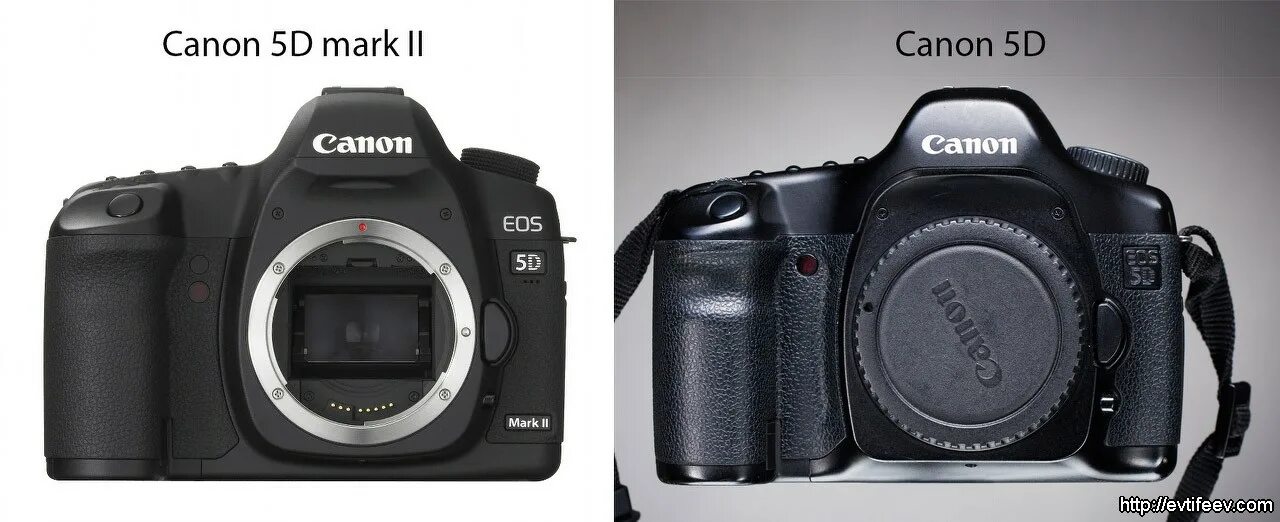 Canon 5d vs 5d mark. Canon 5d vs 5d Mark II.