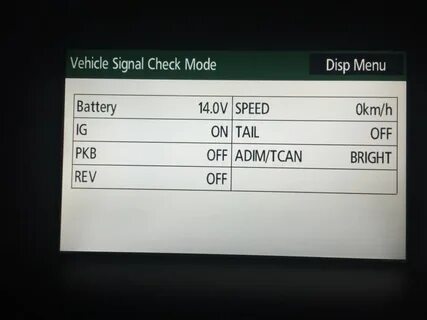 Vehicle signal