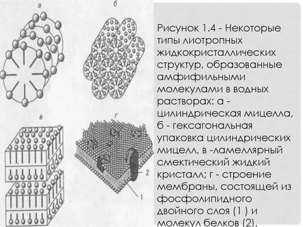 Образующая структура