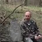 Читать семибратов. Читать семибратов