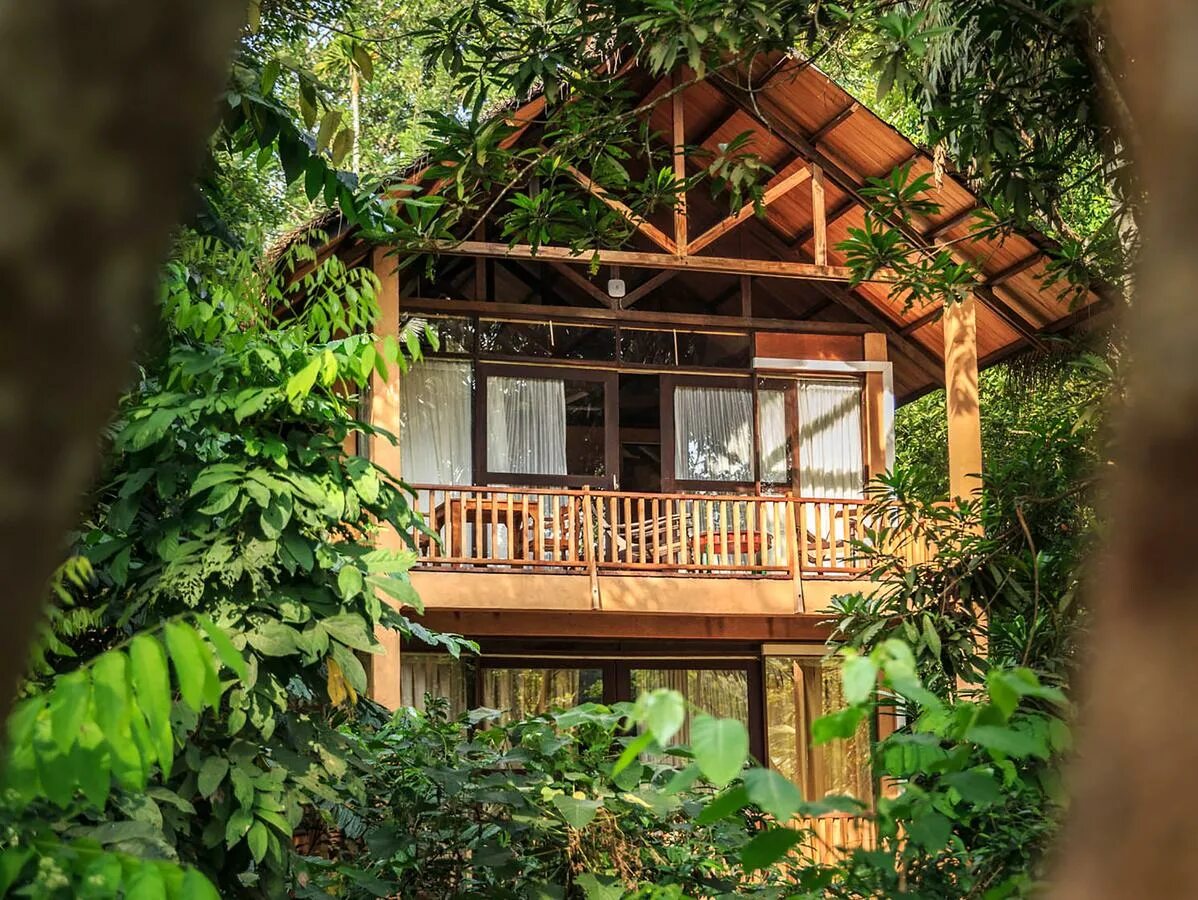 Primrose guest house шри ланка. Jungle house унаватуна. jungle village by thawthisa. шри ланка отель в джунглях. джангл бич hotel шри ланка.