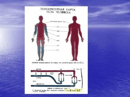 Вода температуры тела