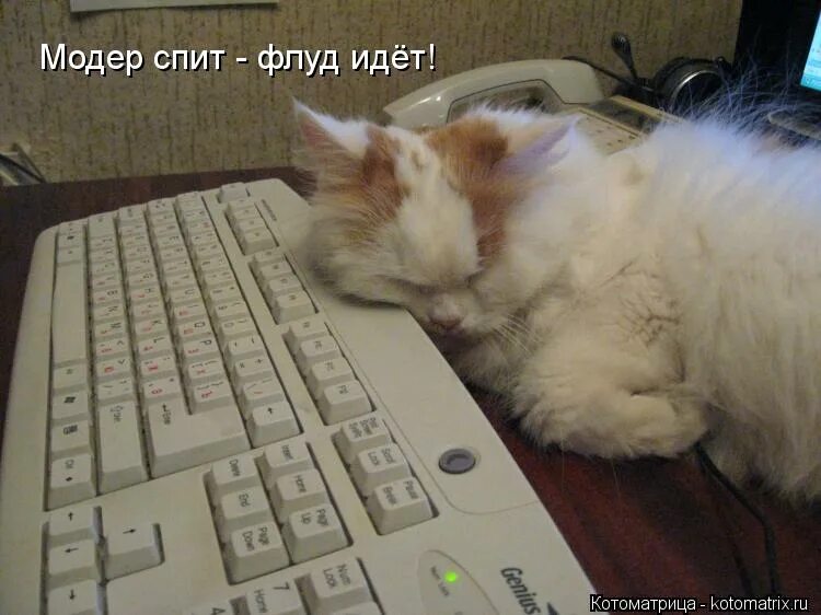 Можно пожалуйста спи