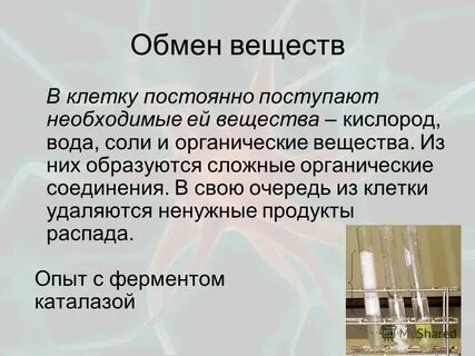 Свойства клетки как системы