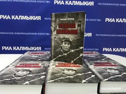 Книга дурень позывной калмык
