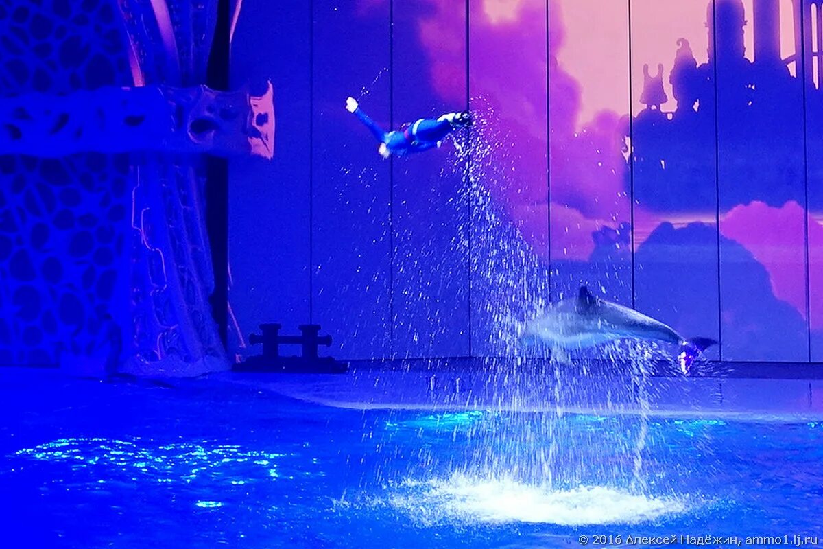 кремлёвская елка 2021 снегурочка. город нефтеюганске культурный центр обь там новогодняя ёлка. театр бабкиной новогоднее представление. водное шоу алладин тинькофф арена. театр кукол саратов новогоднее представление.