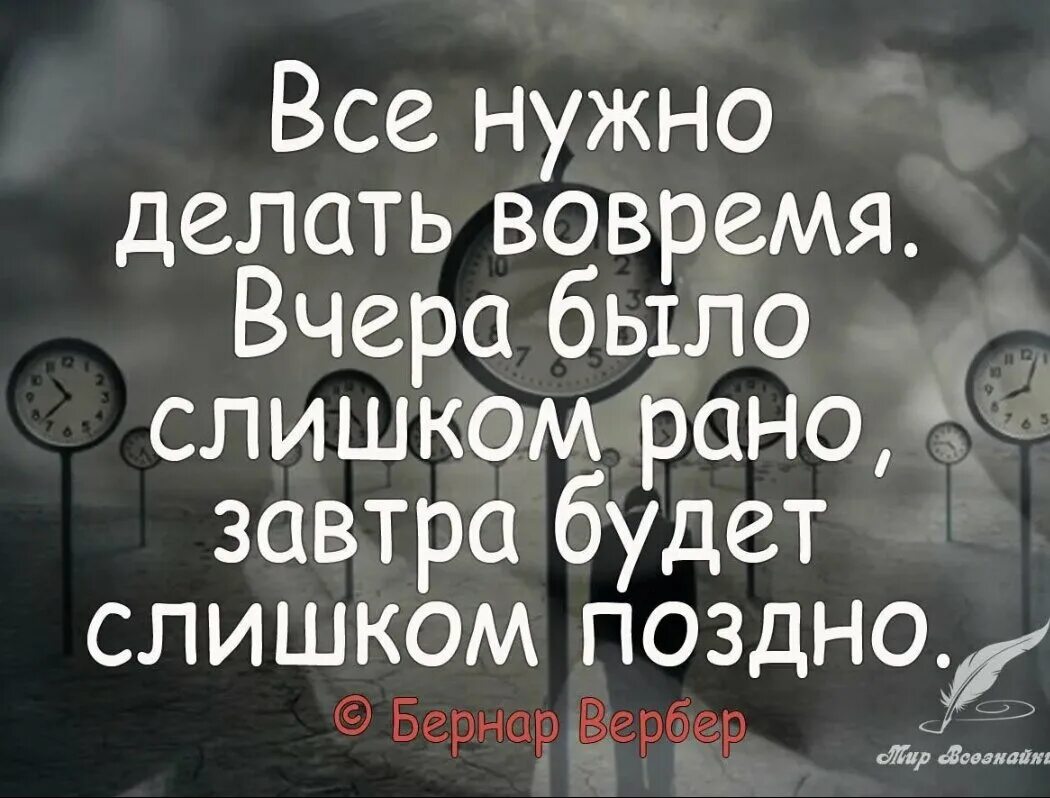 Афоризмы про завтра. Все нужно делать во время цитаты. Цитаты про время. Цитаты про завтра.