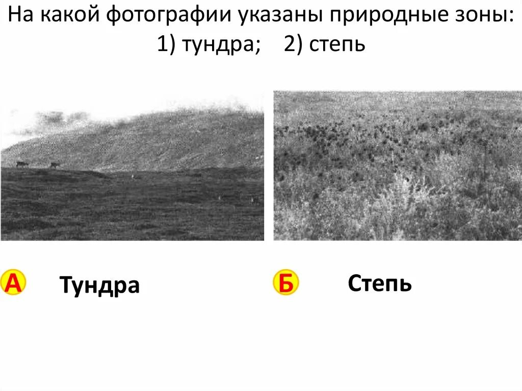 В какой из указанных природных. В какой из указанных природных