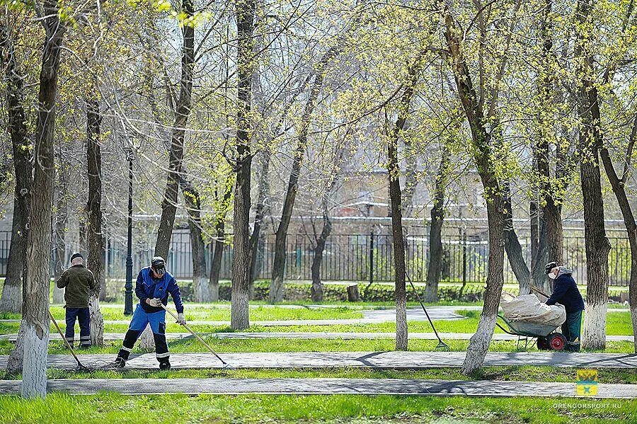 Парк сквер Оренбург. Парк им Цвиллинга Оренбург. Сармат Оренбург парк. Сад имени Цвиллинга Оренбург.