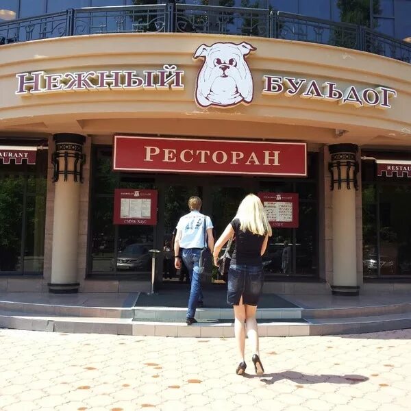 Нежный бульдог иркутск. Ресторан бульдог иркутск. Бульдог иркутск. Нежный бульдог ресторан иркутск. Нежный бульдог ресторан.