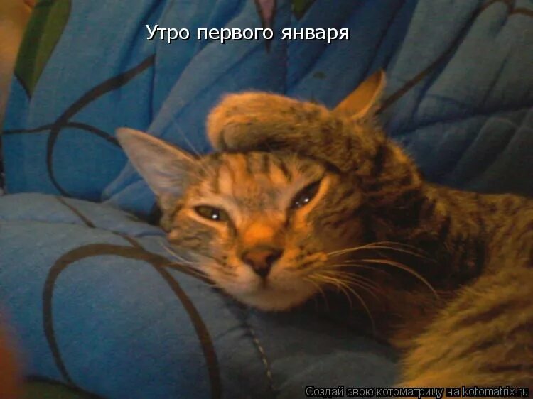 утро после пьянки в 25. с выходом из отпуска начальника. после тяжелого рабочего дня. в первое же утро после приезда. с выходом на работу после больничного прикольные.