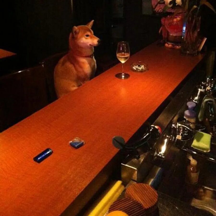 I have no idea where