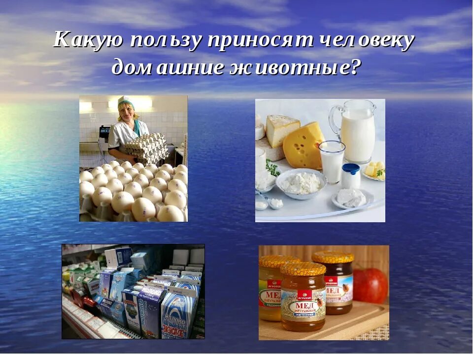 Какую пользу приносят работы. Какую пользу приносят животные людям. какую пользу приносят домашние животные человеку. какую пользу приносит человек домашнее животное. какую ползуприносятчеловеку.