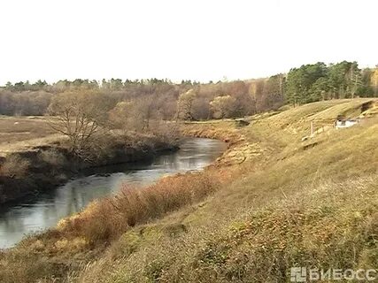 Отар дубровка