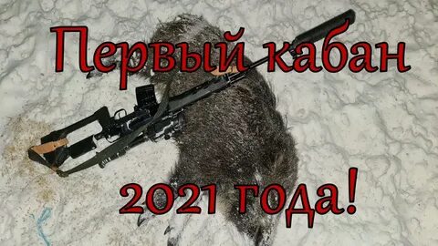 Эхо выстрела