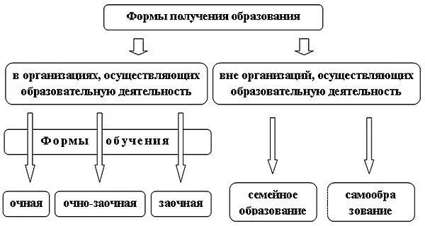Основные формы получения профессионального образования. Формы получения образования и формы обучения схема. уровни и формы получения образования в рф. формы получения образования и формы обучения таблица. формы образования в рф по новому закону об образовании таблица.