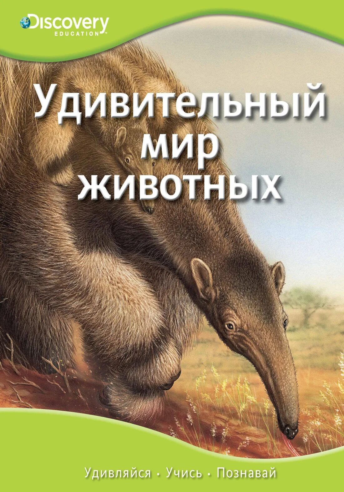 Познаем животных. Удивительный мир животных энциклопедия. Книга животный мир. Удивительные животные книга. Книга мир животных.