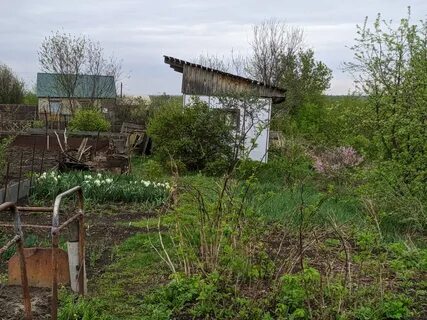 Авито барнаул земельные