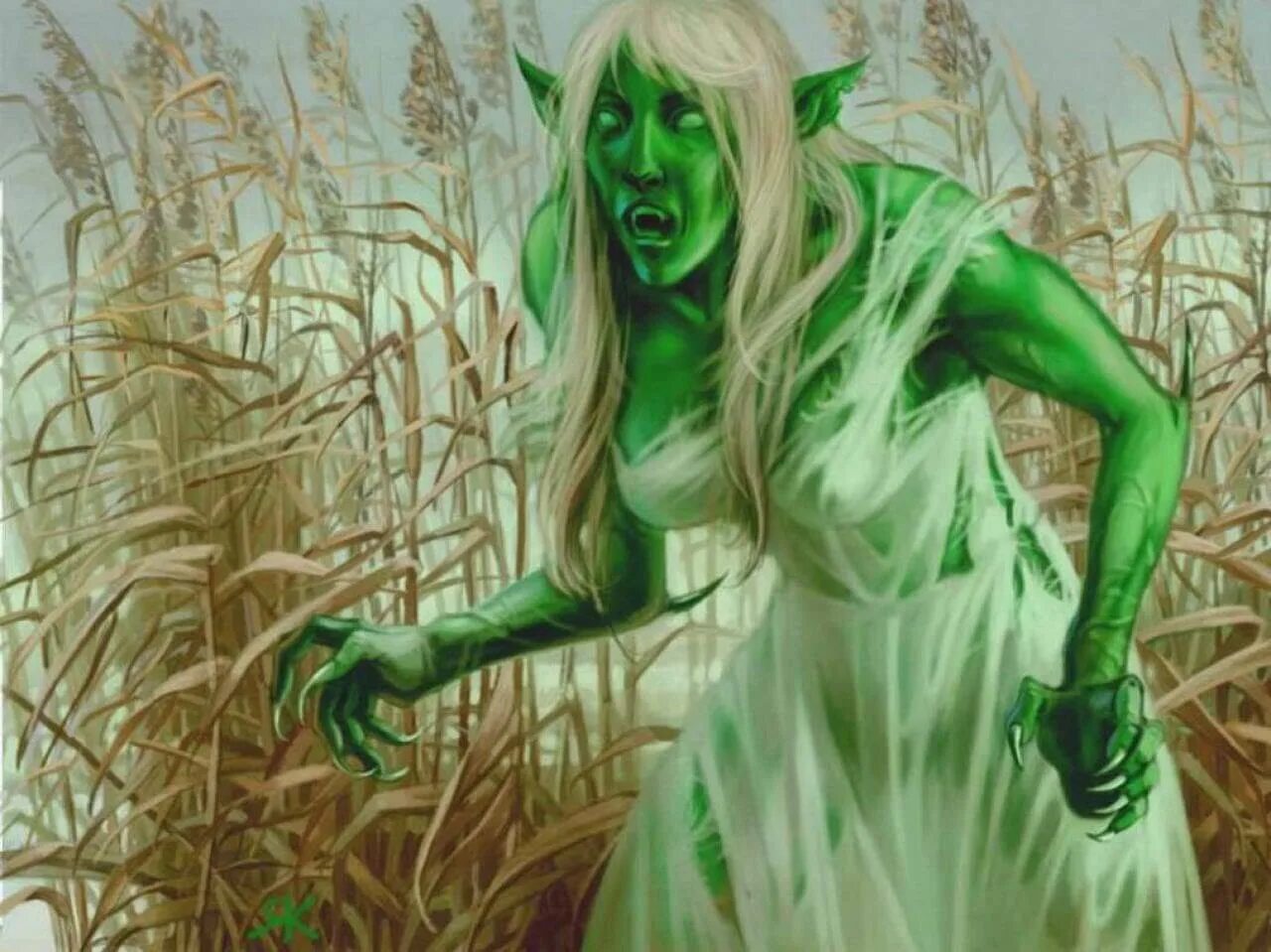 Кикимора болотная мифология. Шишига мифология славянская мифология. Кикимора болотная славянская мифология. Шишимора болотная. Фавн пастух.