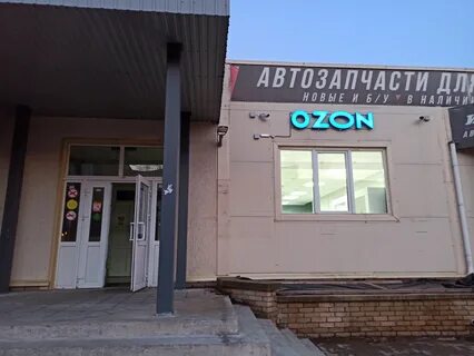 Сосна озон