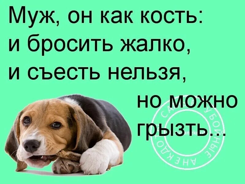 А бросить жалко. Муж он как кость и бросить жалко и съесть нельзя но можно грызть. Жалко выкинуть. Жалко юмор. Начинать жалко