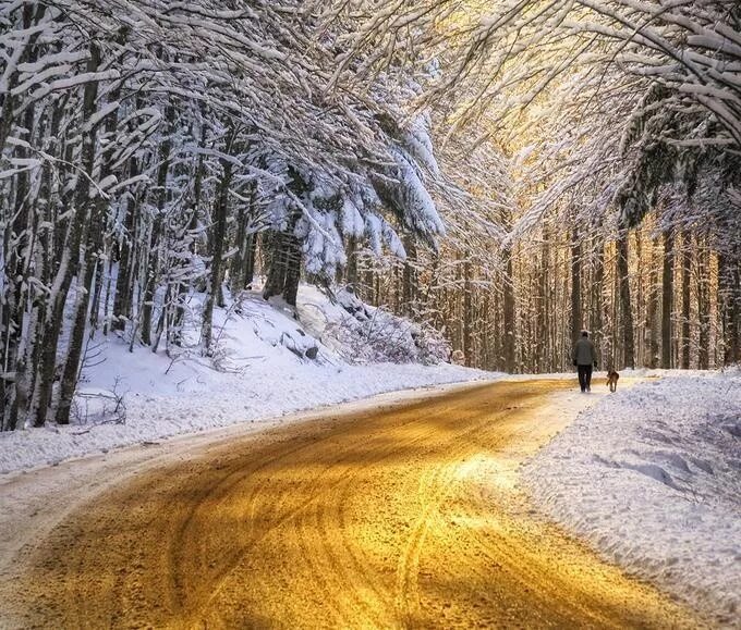 Золотой снег. Зима золото. Золотистый снег. Солнце золото зима. Golden roads