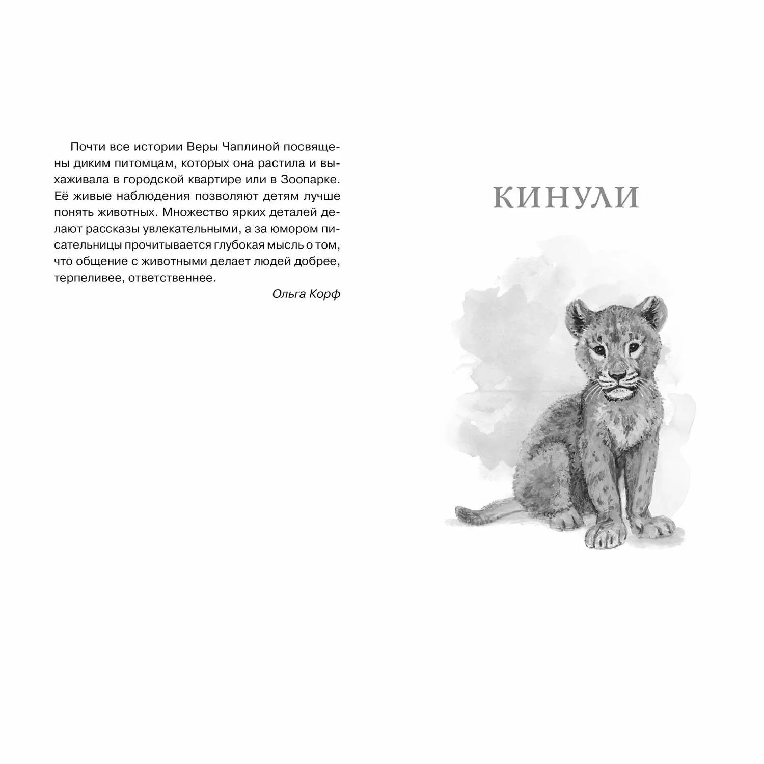 Кинула читать. Книга Чаплина Фомка белый Медвежонок. Чаплина Фомка белый Медвежонок 1974. Рассказы рассказы Чаплиной веры.