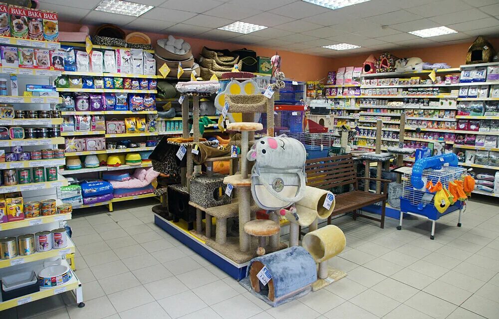 зоомагазин борисоглебск. товары для животных санкт петербург. зоомагазин санкт-петербург. зоомир спб. магазины для животных в спб.