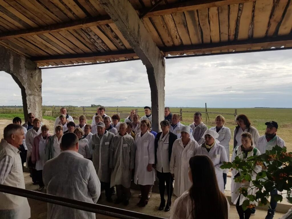 Мордовия деревня селище. Погода в куликово краснослободском районе мордовия. Синдрово мордовия. Мордовия село долговерясы кладбище. Погода в куликово краснослободском районе мордовия.
