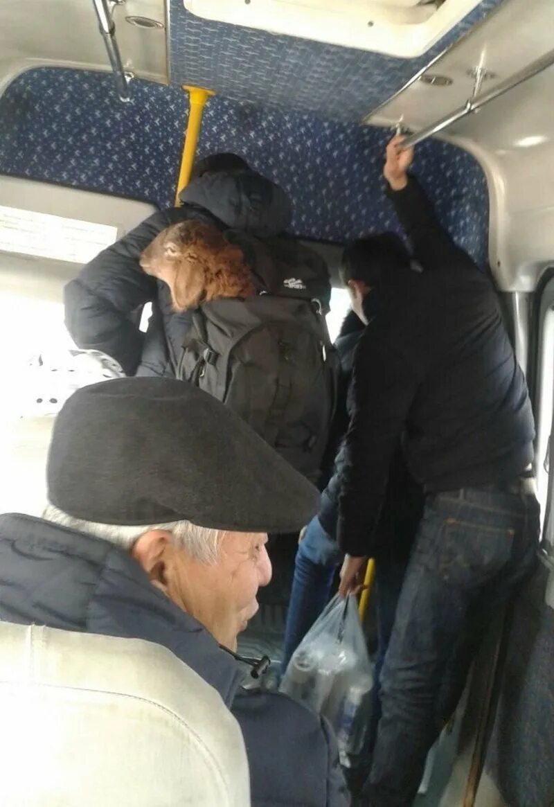 Совсем недавно я ехала в автобусе рядом. Автобус. прикольные люди в автобусе. приколы пассажиры в автобусе. люди в маршрутке.