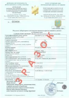 Сертификат антитела к бешенству