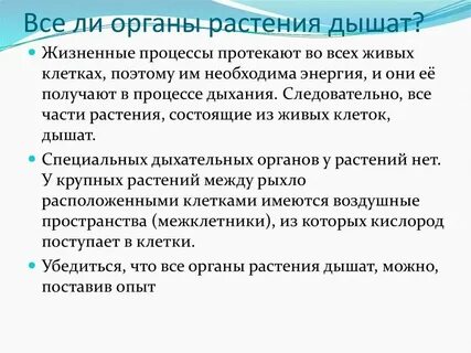 Укажи орган растений который отвечает за дыхание