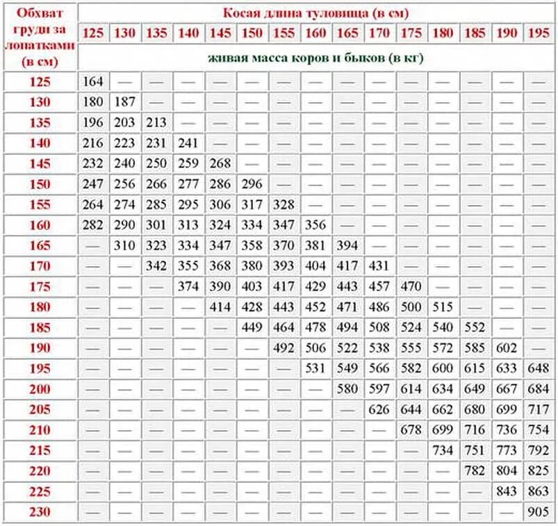 Определение 1 кг. Таблица измерения КРС живым весом Быков рулеткой. Таблица замера КРС живым весом Быков. Таблица живого веса КРС Быков. Таблица измерения живого веса КРС быки.