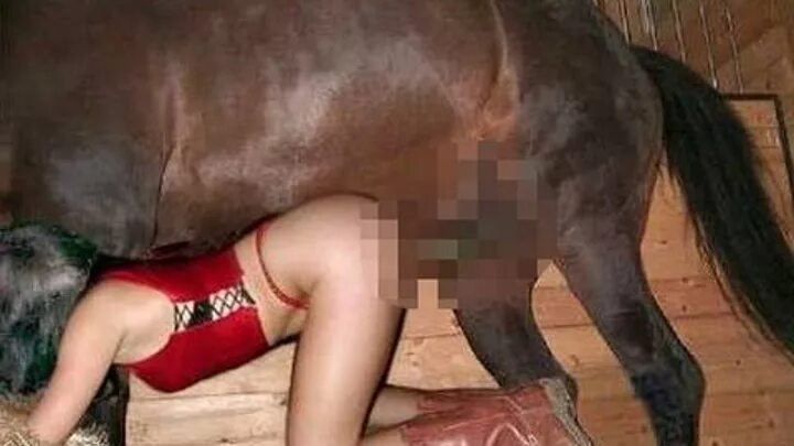 Хайвонлар Кизлар Секс