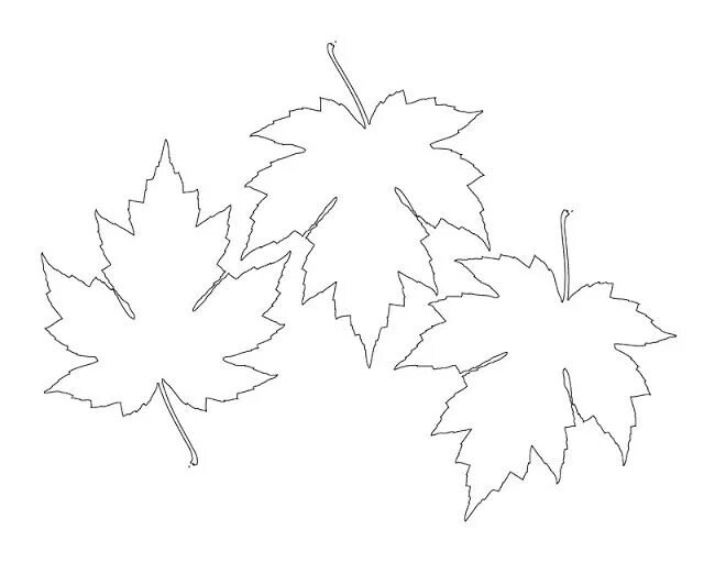 Распечатать шаблоны кленовых листьев для вырезания Printable full page maple leaf pattern. Use the pattern for crafts, creating ste