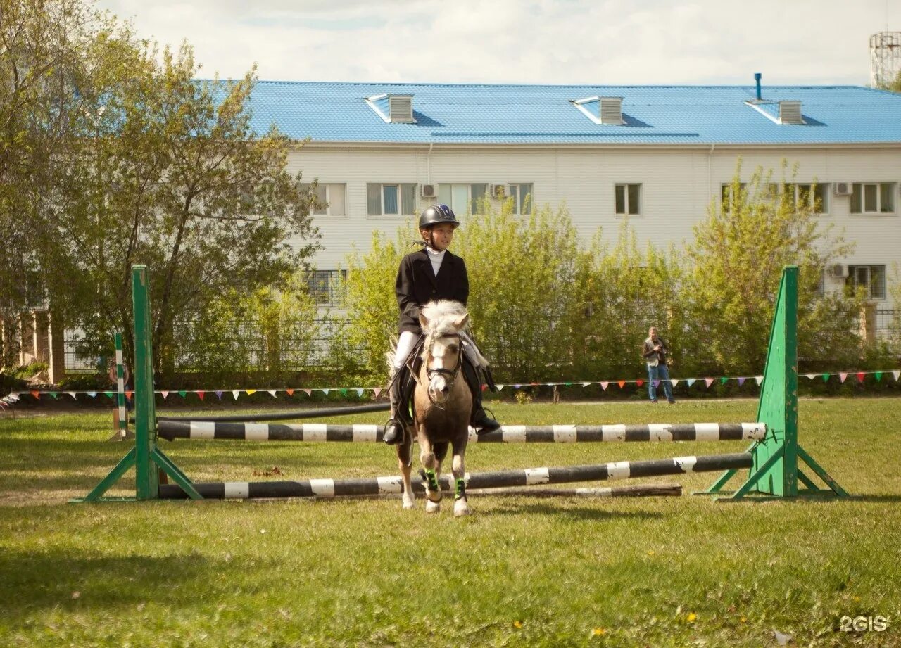 Уфимские каменные карьеры лошади. Конно-спортивный комплекс челябинск буян. Кск буян. Покататься на лошадях. Буян челябинск.
