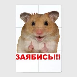 Шрифт хомяк 6 июня
