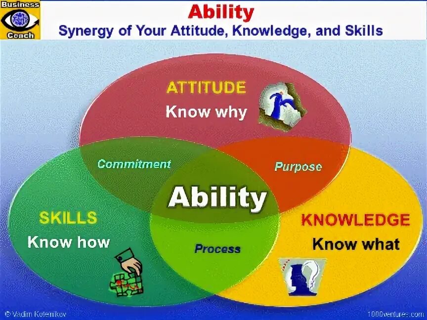 Abilities knowledge skills. Skill знания. Skill ability разница. Attitude and skills. What your attitude to doing sports