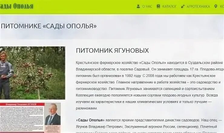 Питомник солдатов давыдовское. Питомник сады ополья ягуновых. питомник растений владимирская область. саженцы земли владимирской питомник куркиных. садовый рай питомник.