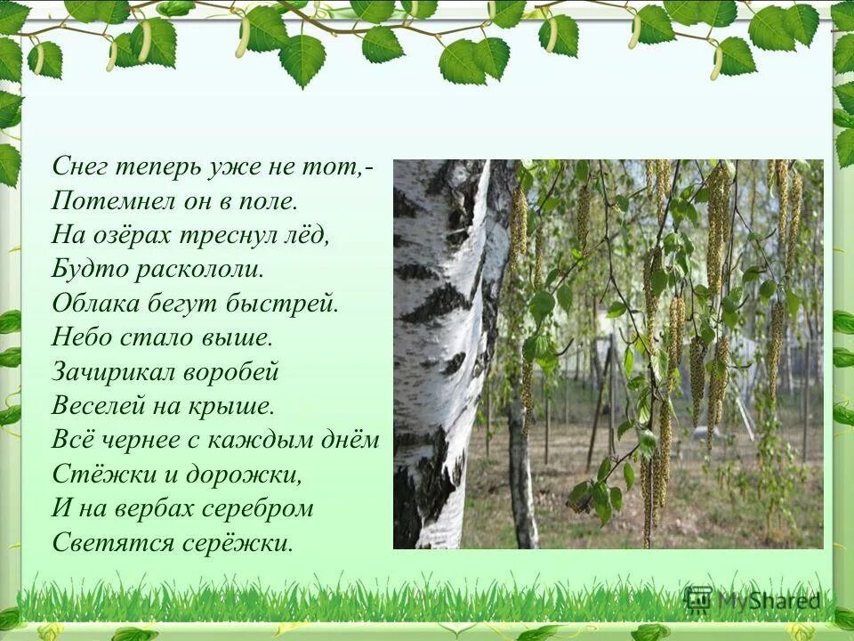 Зачирикал воробей веселей на крыше. Снег теперь уже не тот. Снег уже не тот потемнел он в поле на Озерах треснул лед. Снег уже теперь не тот иллюстрация. Стих снег теперь уже не тот.