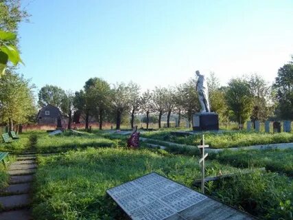 Город красный бор
