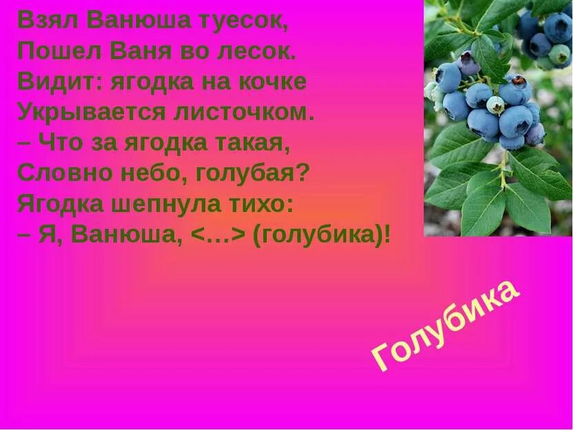 Загадка про ягоду голубику. Загадки. Загадки про Лесные ягоды. Ягодные загадки для детей. Потом ягодка начнет увеличиваться багроветь затем синеть